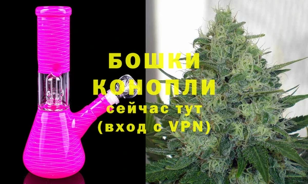 дживик Абаза