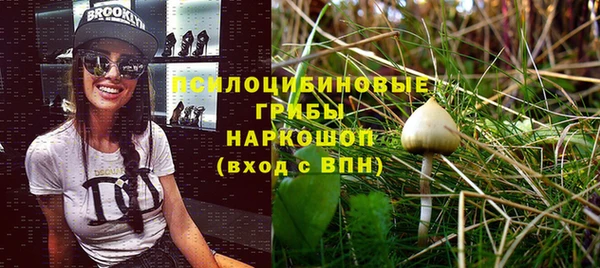 дживик Абаза
