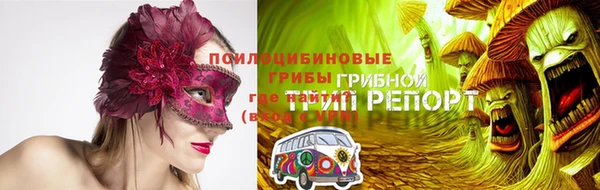 ПСИЛОЦИБИНОВЫЕ ГРИБЫ Алзамай