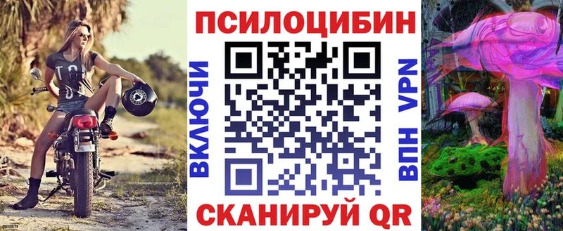 мега как войти  Ессентукская  Псилоцибиновые грибы мицелий  хочу наркоту 